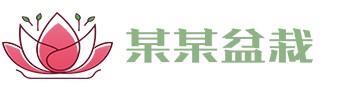老版神彩争霸8官方网站-追求健康,你我一起成长